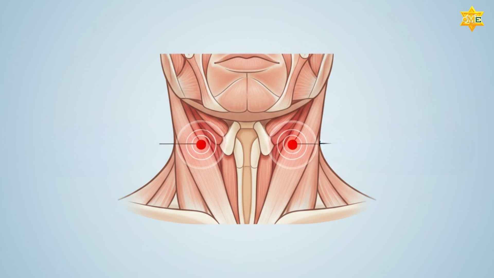 Sơ Đồ Các Huyệt Vùng Cổ Vai Gáy