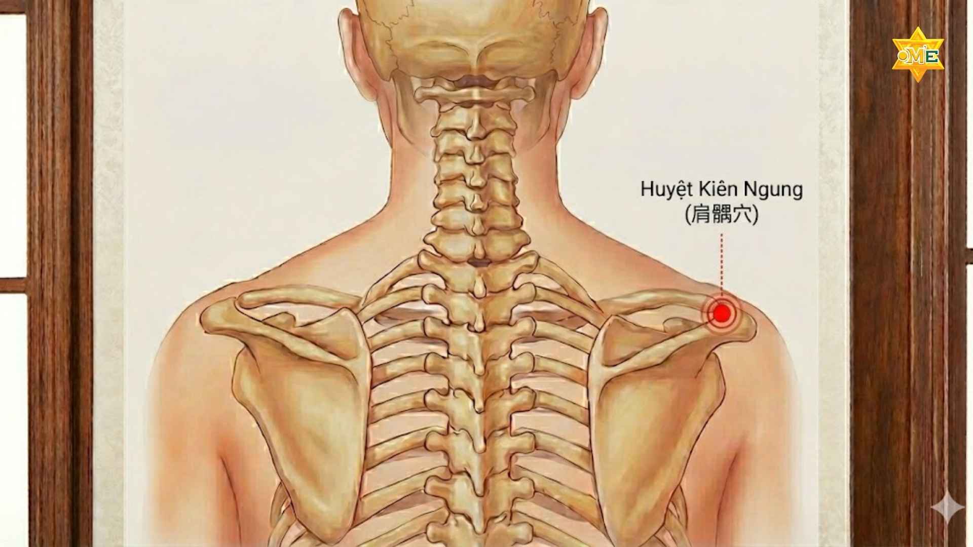 Cách xác định huyệt trên vai gáy chuẩn xác trị đau nhức 