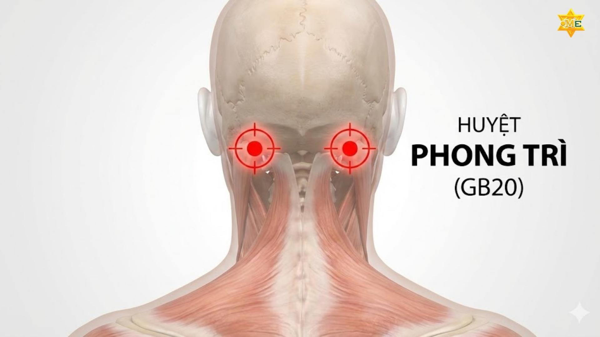 Sơ Đồ Các Huyệt Vùng Cổ Vai Gáy