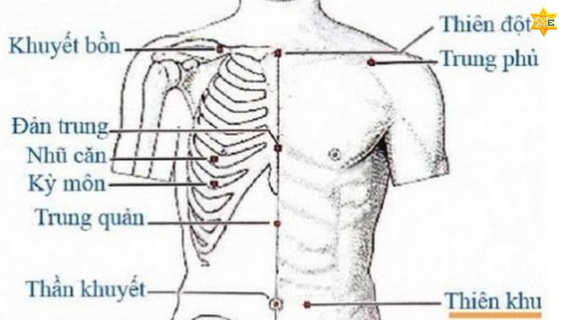 Lợi Ích Bất Ngờ Của Các Huyệt Trước Ngực