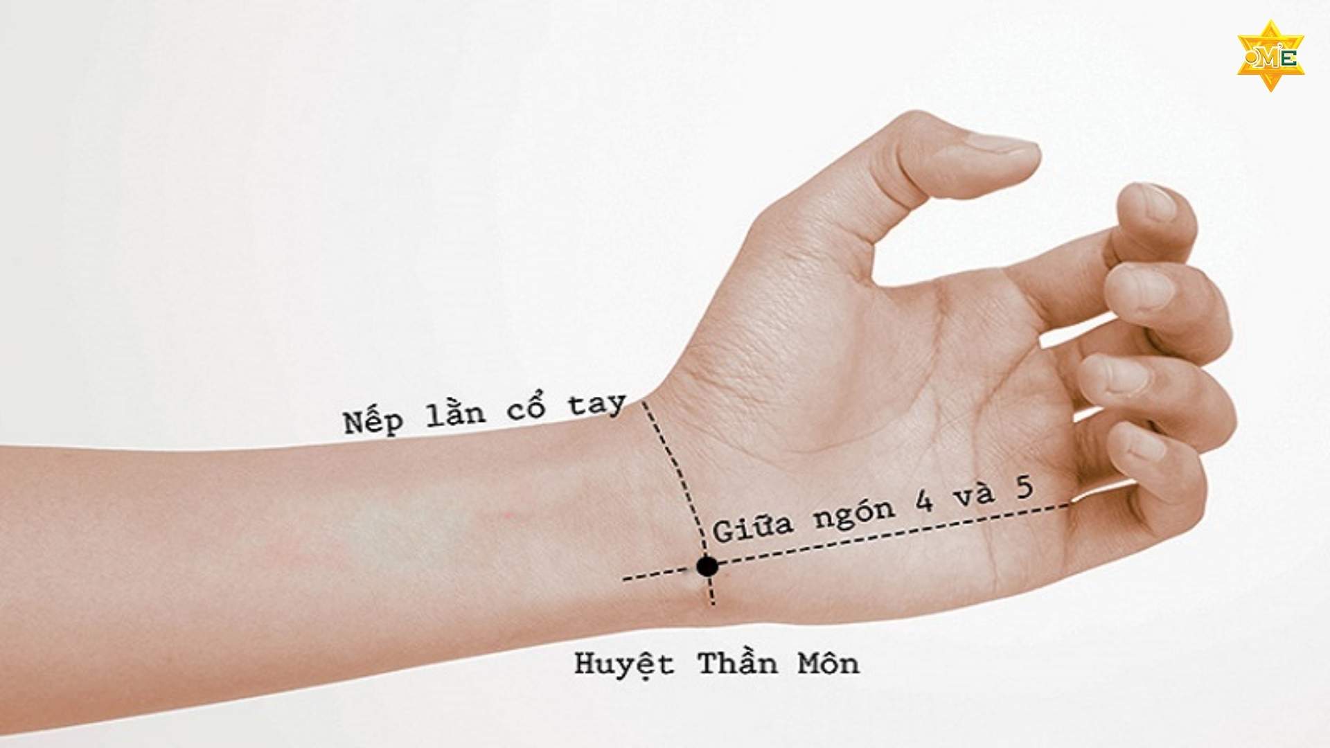 Hướng dẫn cách xác định huyệt ở tay