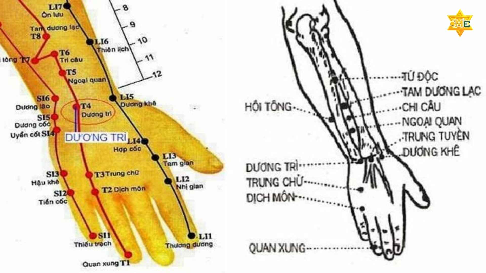 Hướng dẫn cách xác định huyệt ở tay