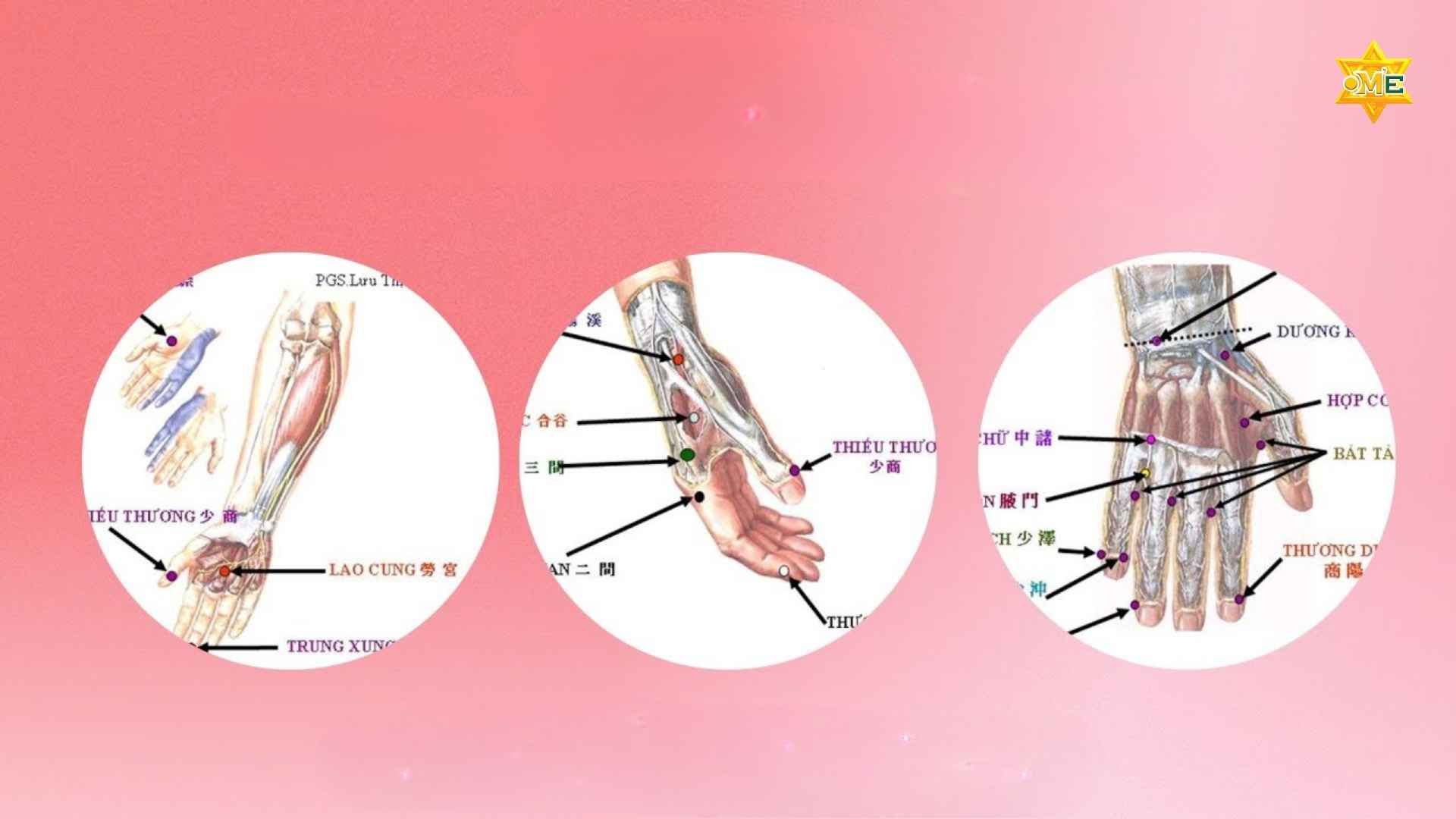 Hướng dẫn cách xác định huyệt ở tay