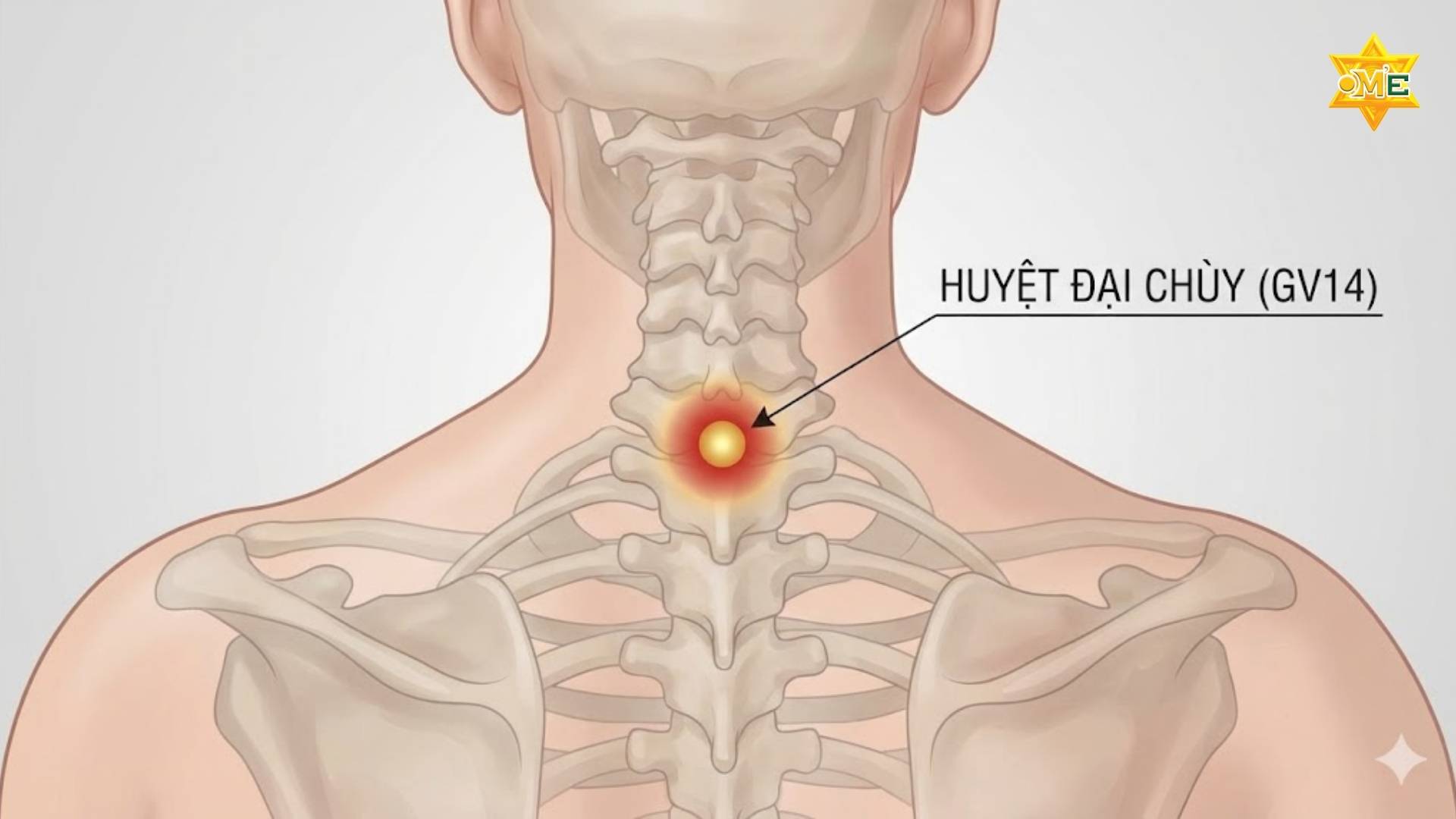 Sơ Đồ Các Huyệt Vùng Cổ Vai Gáy