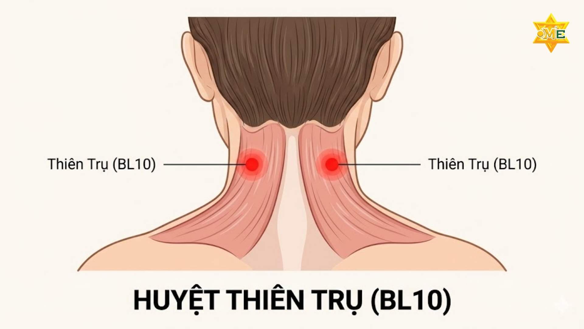 Sơ Đồ Các Huyệt Vùng Cổ Vai Gáy