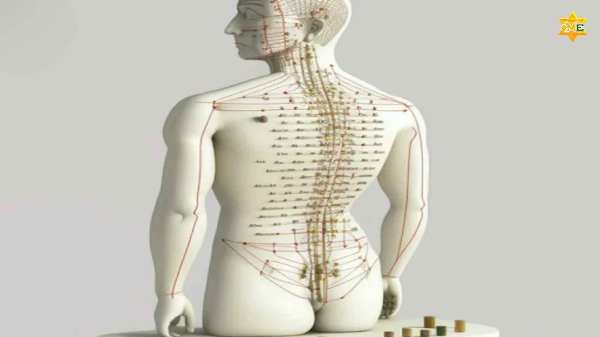 Cách xác định huyệt trên cơ thể người