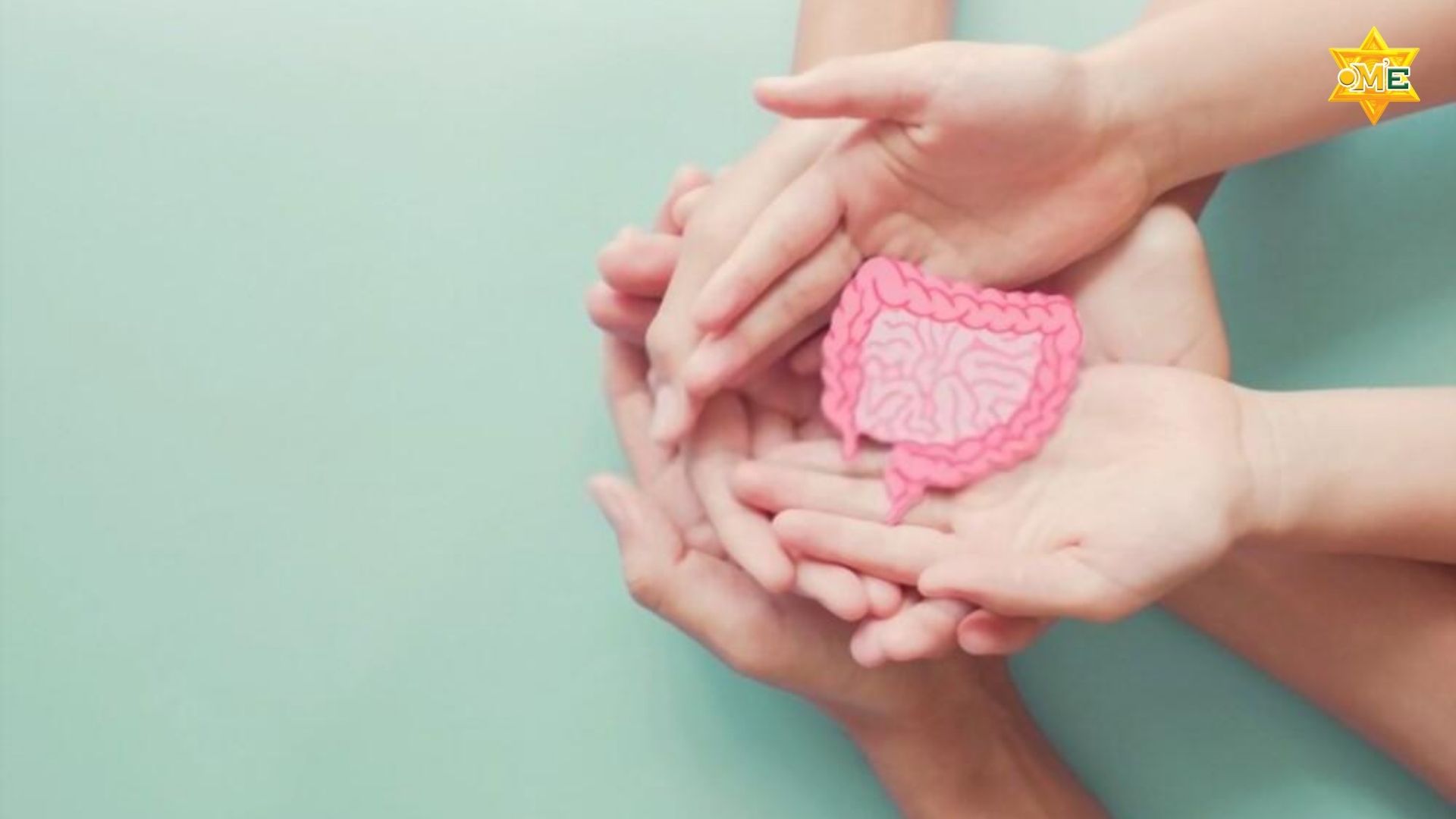 Học Cách Chăm Sóc Hệ Tiêu Hóa Tại Nhà