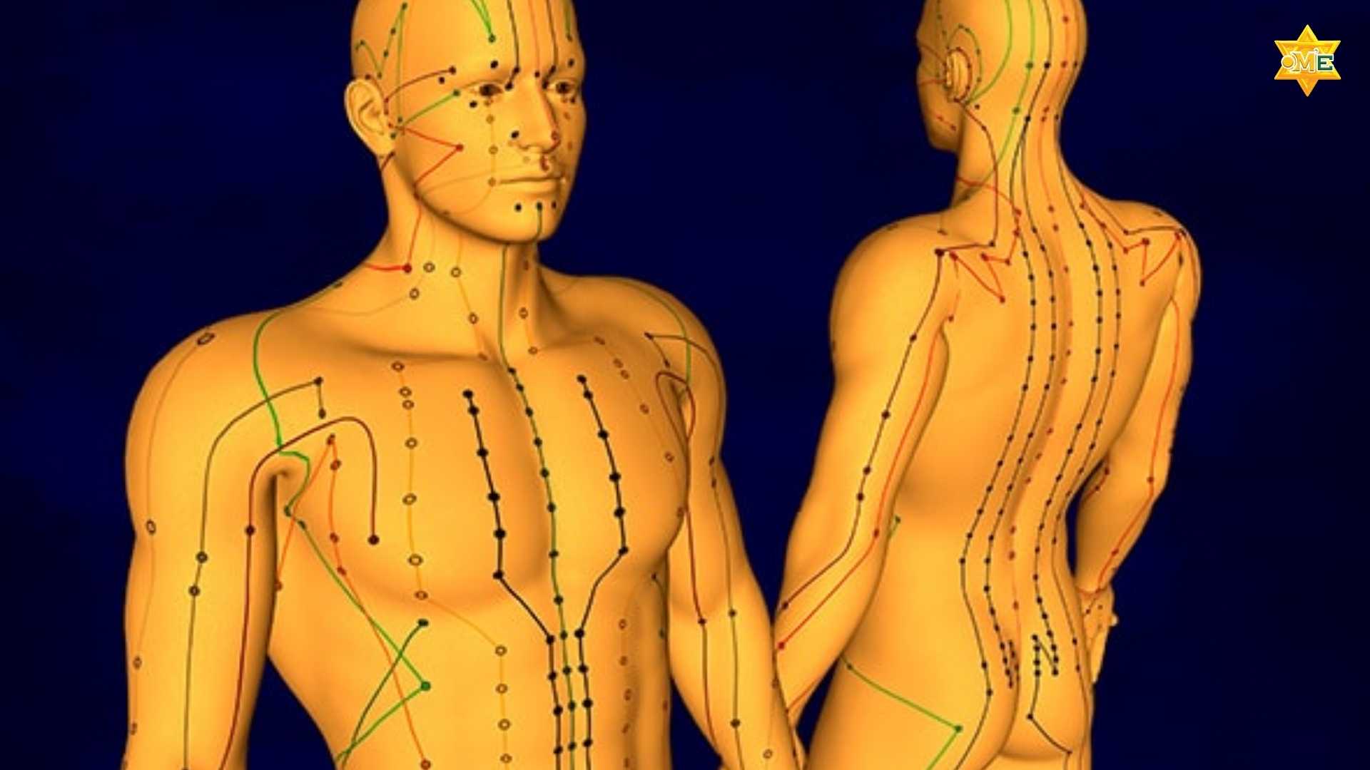 Cách xác định huyệt trên cơ thể người với 3 phương pháp chuẩn xác