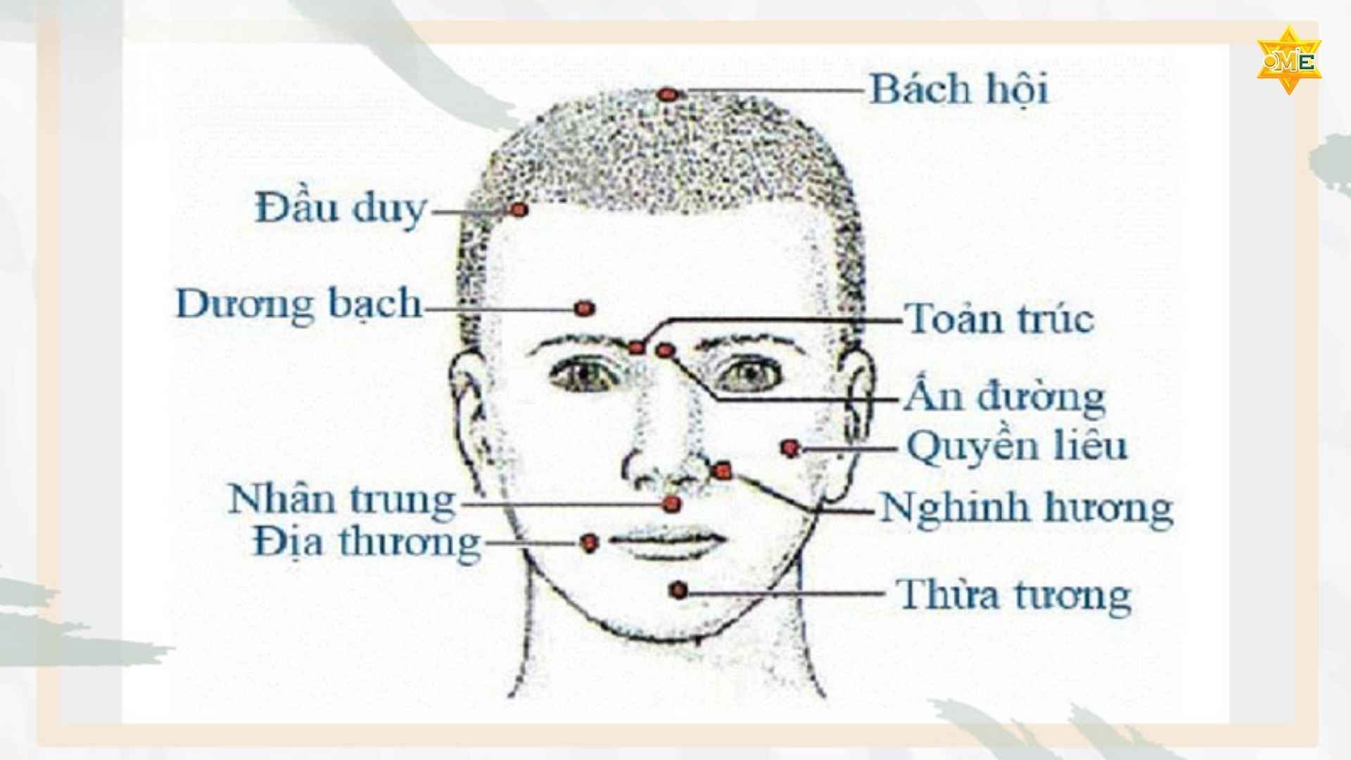 Cách xác định huyệt trên mặt chuẩn y học cổ truyền