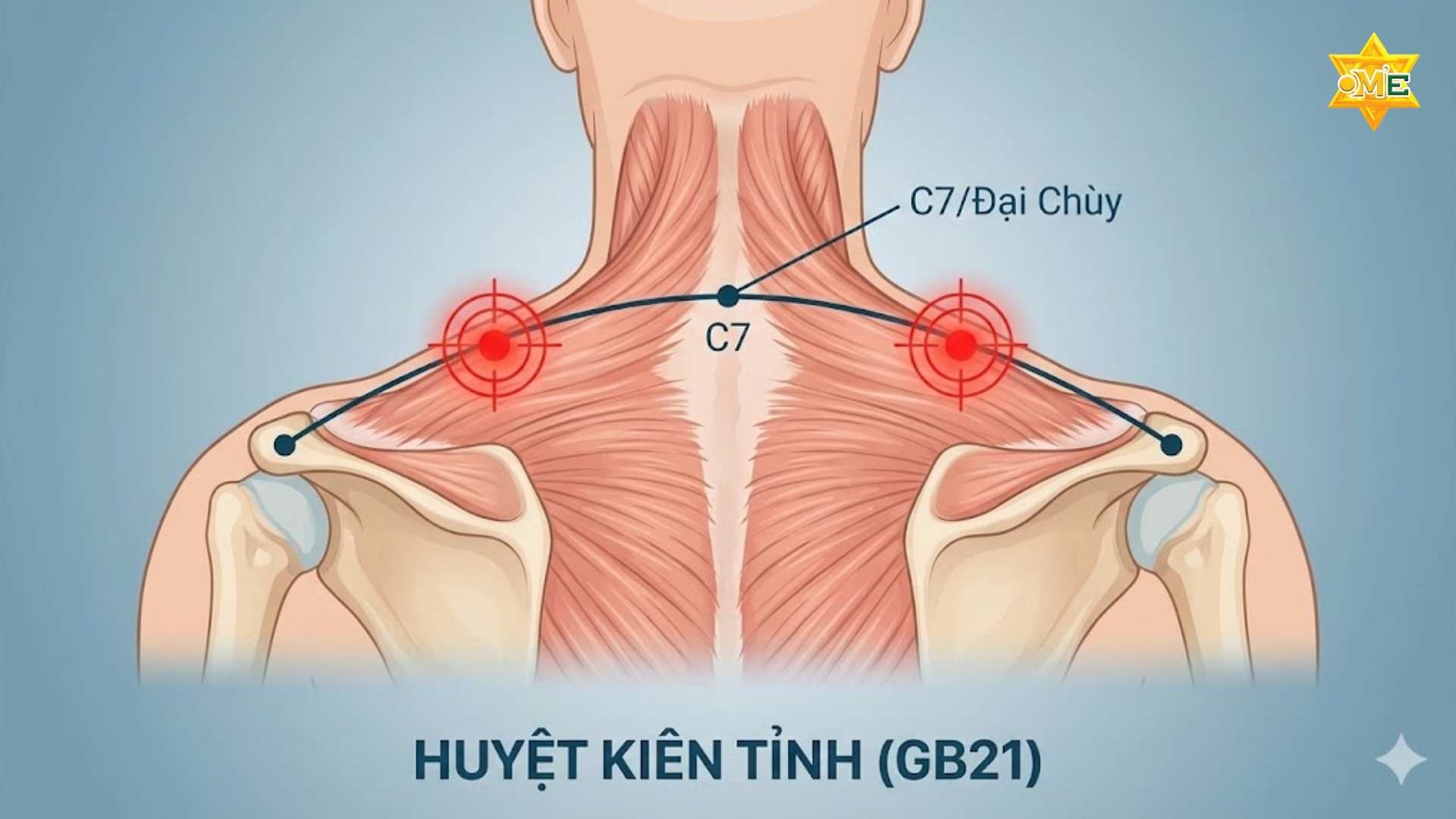 Sơ Đồ Các Huyệt Vùng Cổ Vai Gáy
