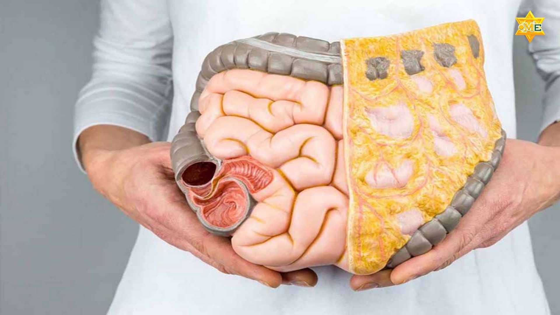 Học Cách Chăm Sóc Hệ Tiêu Hóa Tại Nhà