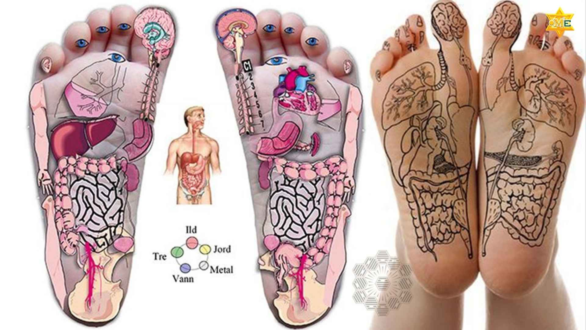 cách xác định huyệt trên chân dễ thực hiện tại nhà