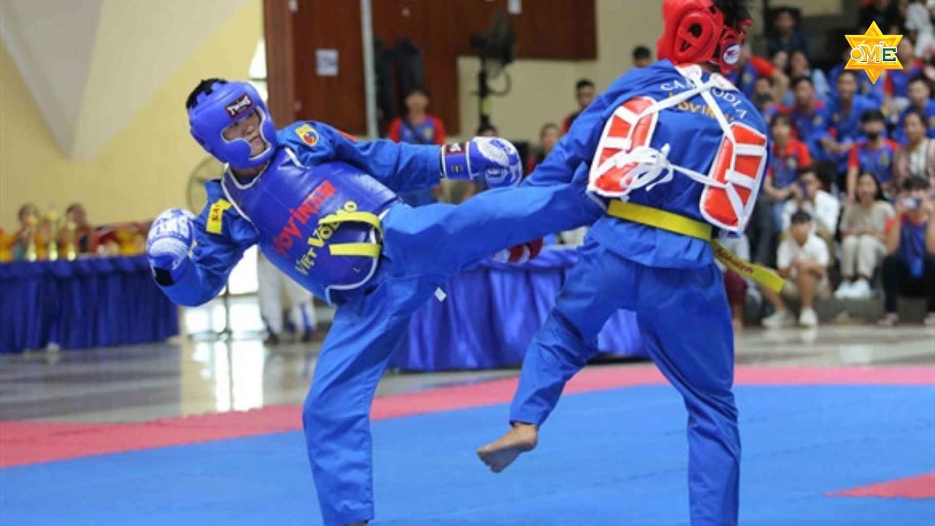 Khóa học vovinam tại nhà - OME Việt Nam