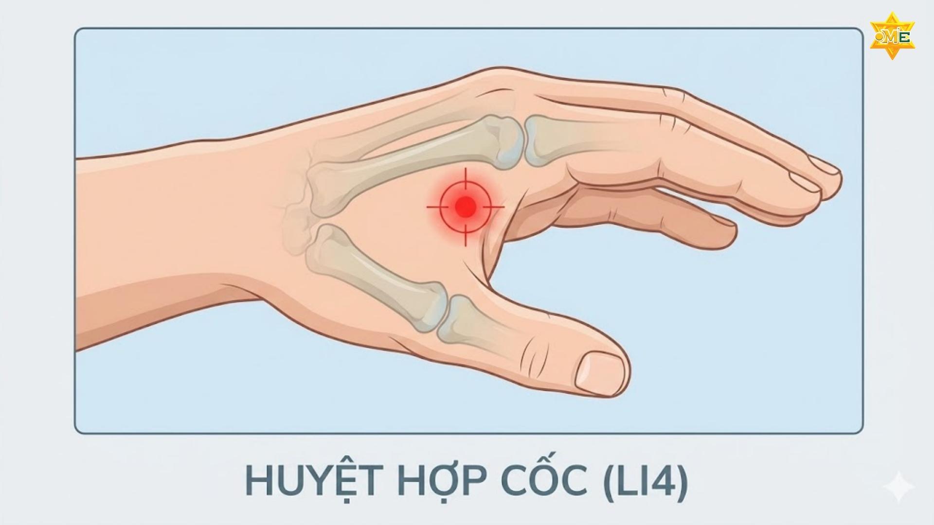 Sơ Đồ Các Huyệt Vùng Cổ Vai Gáy