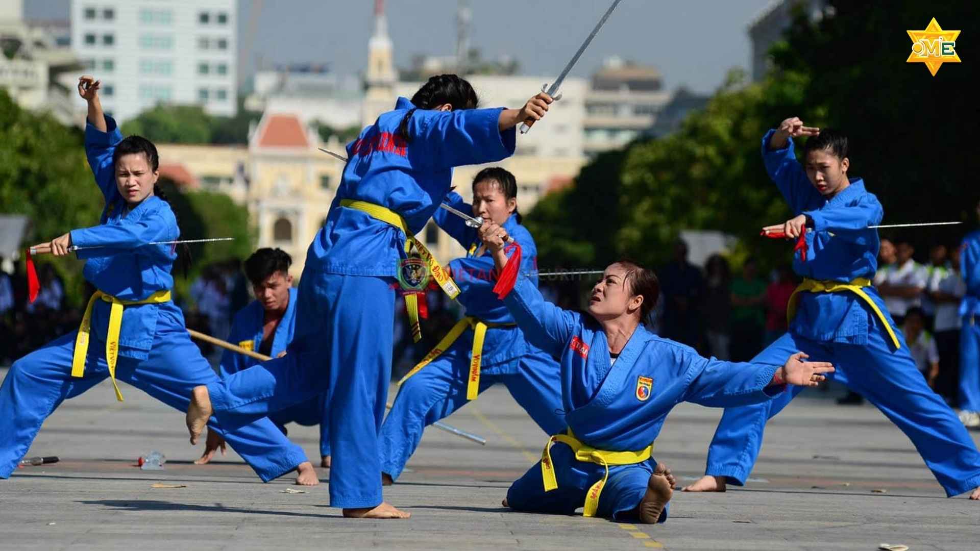 Khóa học vovinam tại nhà - OME Việt Nam