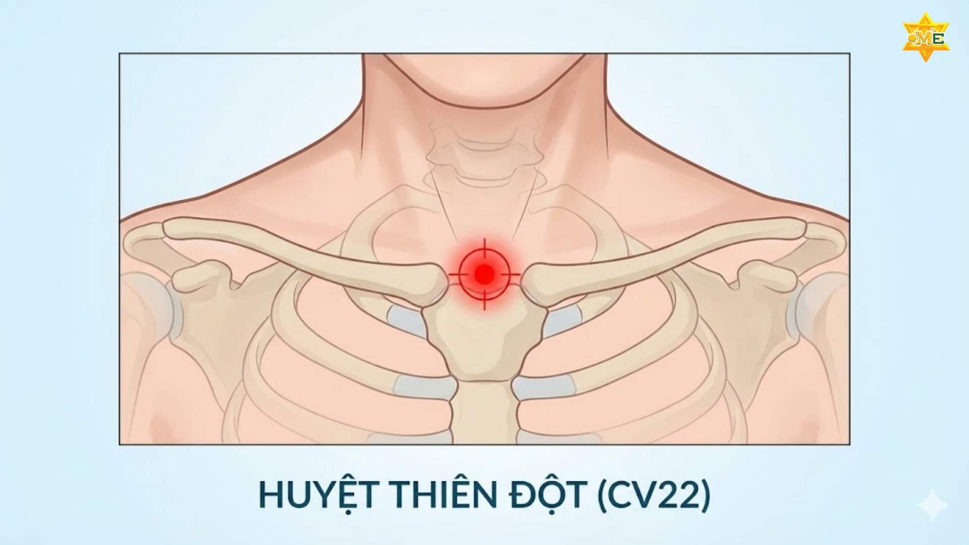 Sơ Đồ Các Huyệt Vùng Cổ Vai Gáy