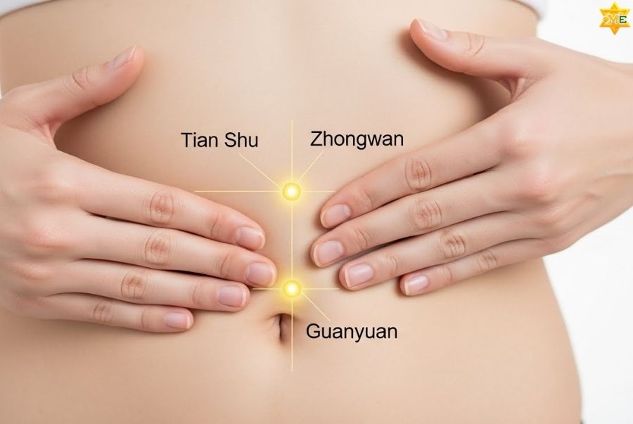 Vị trí bấm huyệt giảm mỡ bụng vùng bụng