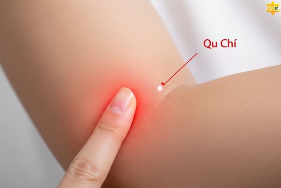 Huyệt Xích Trạch và Khúc Trì (Vùng cánh tay)