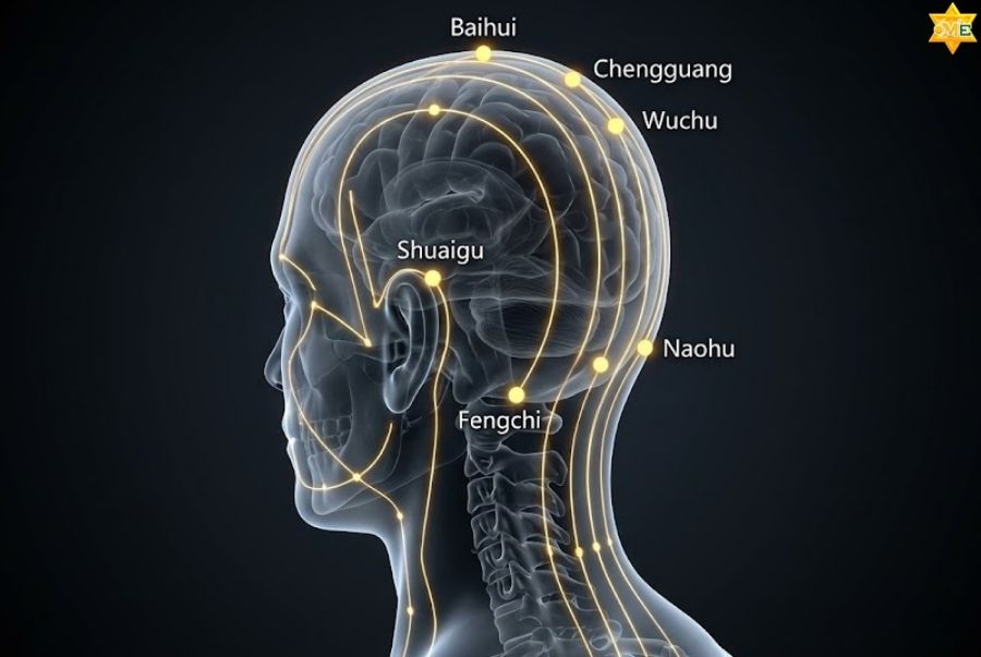 Các huyệt trên đầu nằm ở đâu? Hướng dẫn bấm huyệt chữa đau đầu
