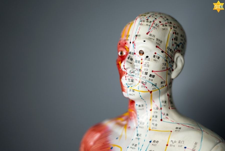 Cách Xác Định Huyệt Đạo Trên Cơ Thể Để Trị Bệnh Hiệu Quả Tại Nhà