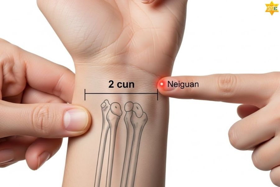 Huyệt Nội Quan (Vùng cổ tay)