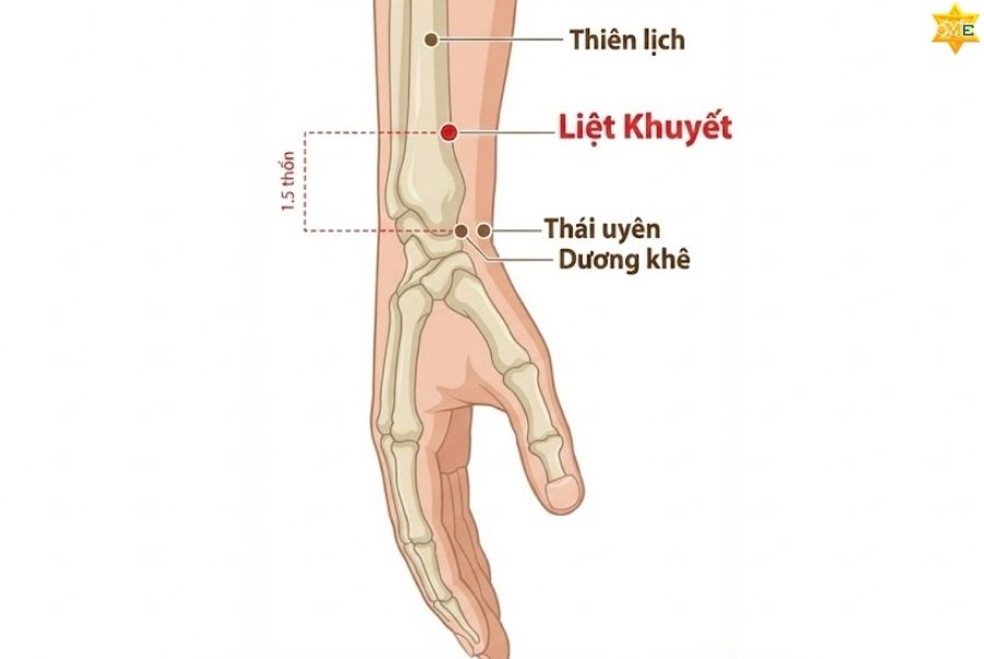 Cách tìm và xác định vị trí huyệt Liệt Khuyết