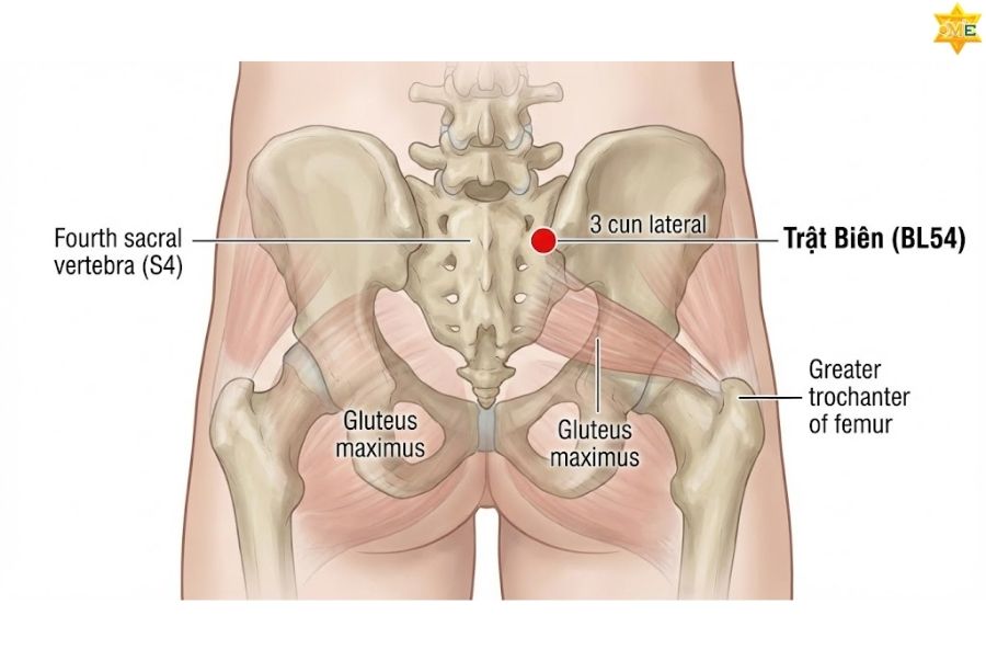 Cách bấm huyệt Trật Biên tại nhà