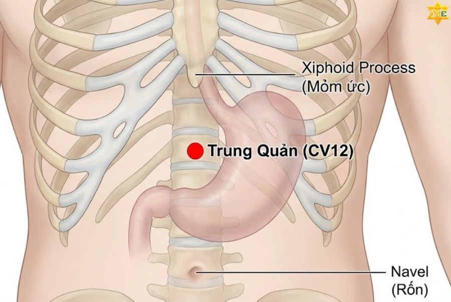 Huyệt Trung quản là gì?