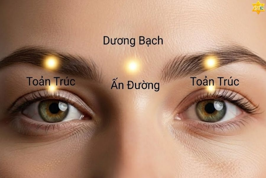 Vị trí các huyệt thường dùng trên mặt và công dụng
