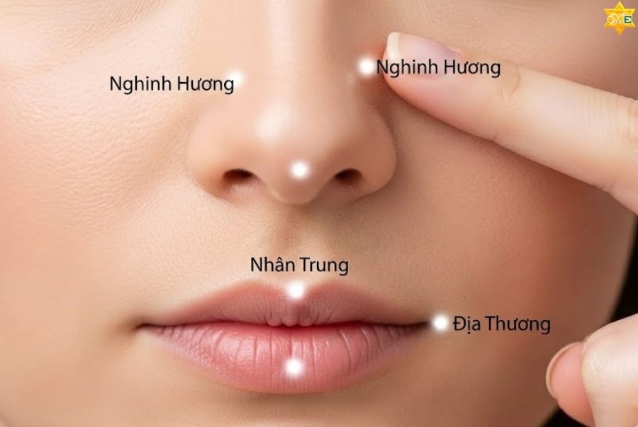 Lợi ích trị liệu và làm đẹp từ huyệt đạo vùng mặt