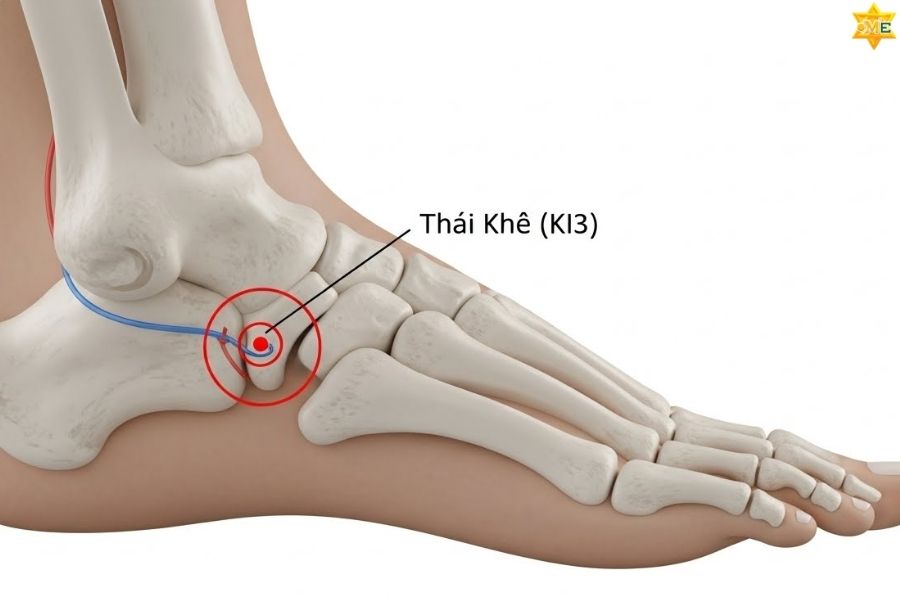 Hướng dẫn xác định vị trí của huyệt Thái Khê