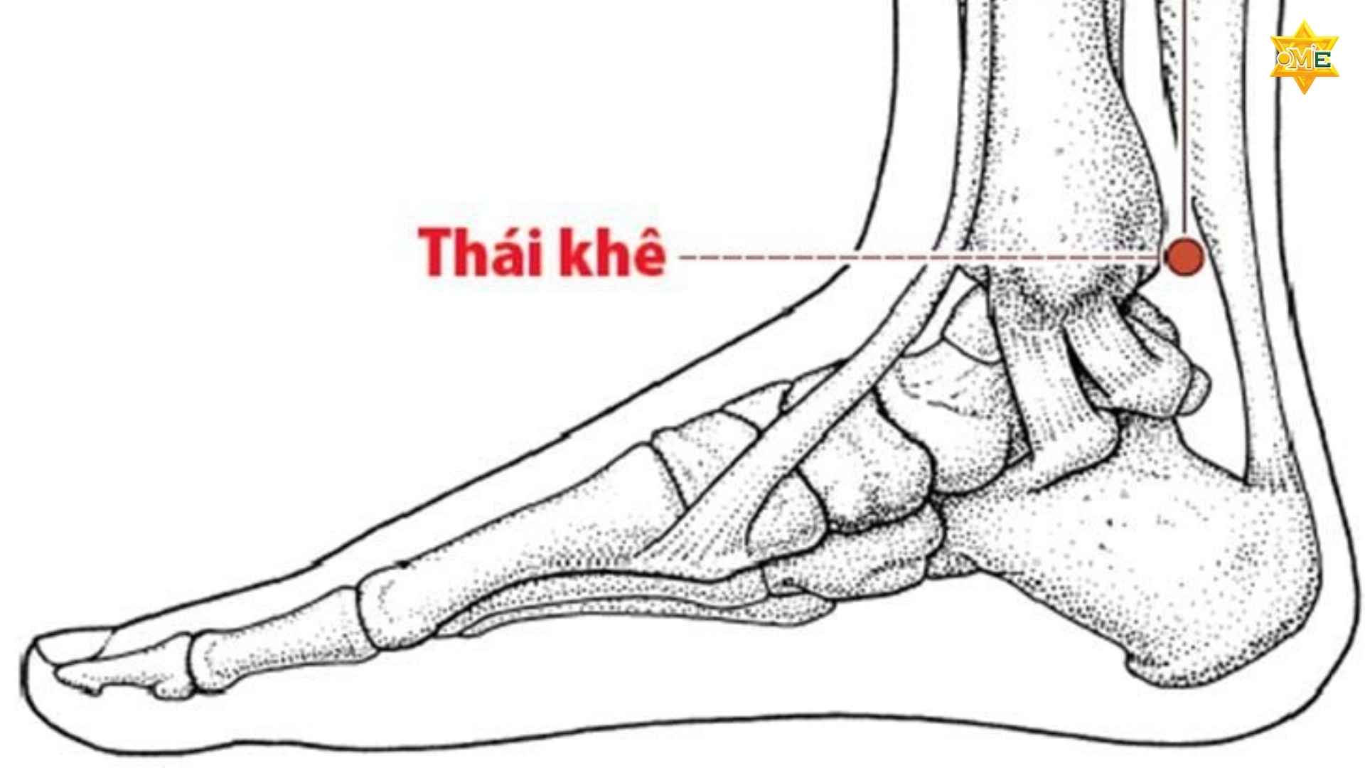 Cách xác định huyệt Thái Khê chuẩn xác