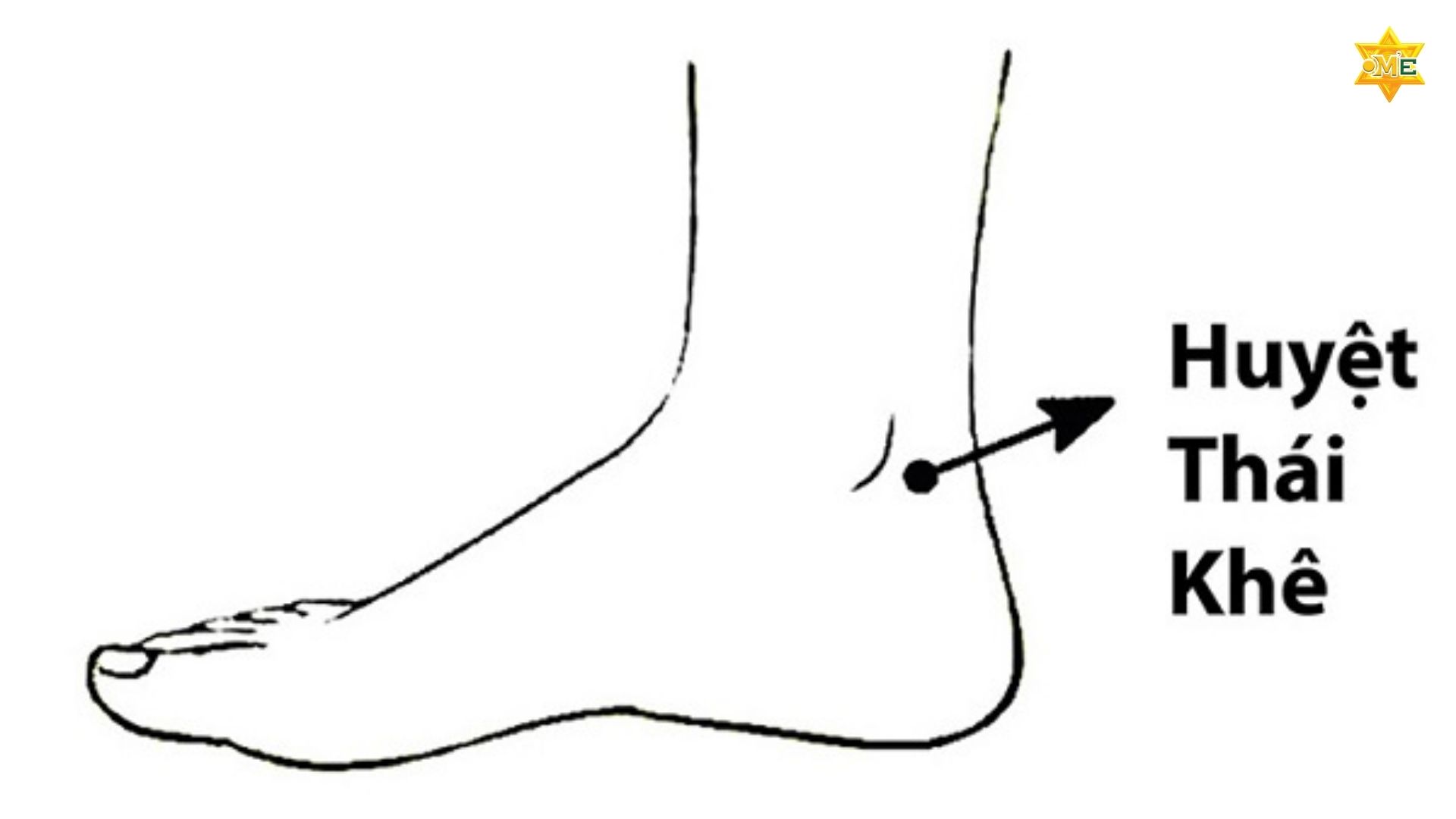 Cách xác định huyệt Thái Khê chuẩn xác