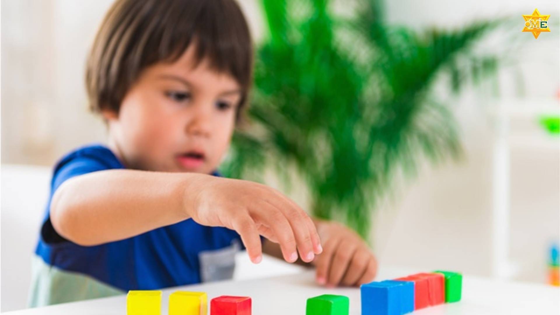 Chậm phát triển trí tuệ là gì ?