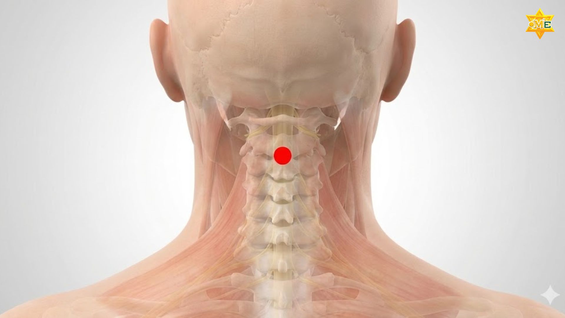 Cách xác định huyệt á môn chuẩn xác