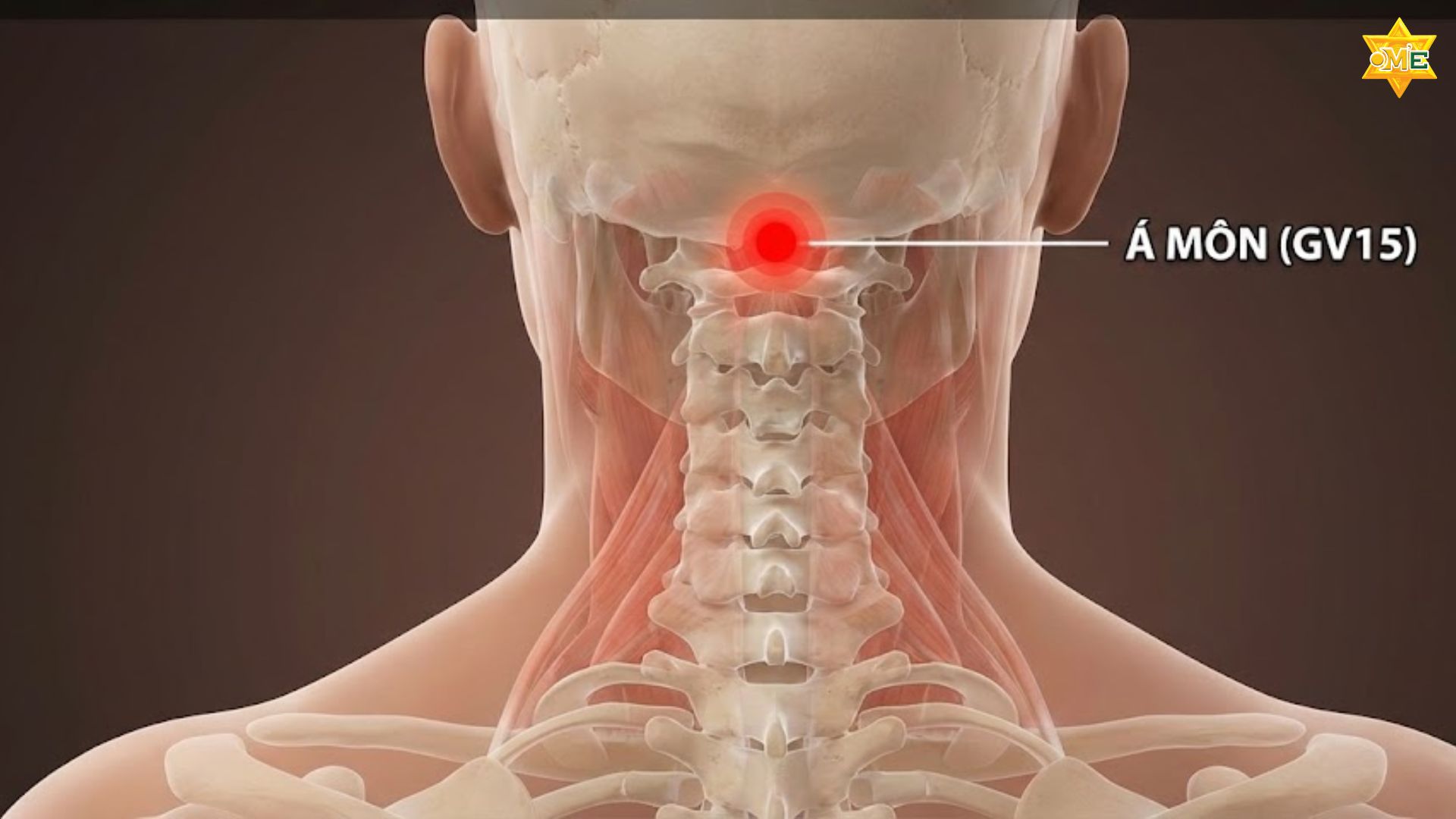 Cách xác định huyệt á môn chuẩn xác và tác dụng trị liệu