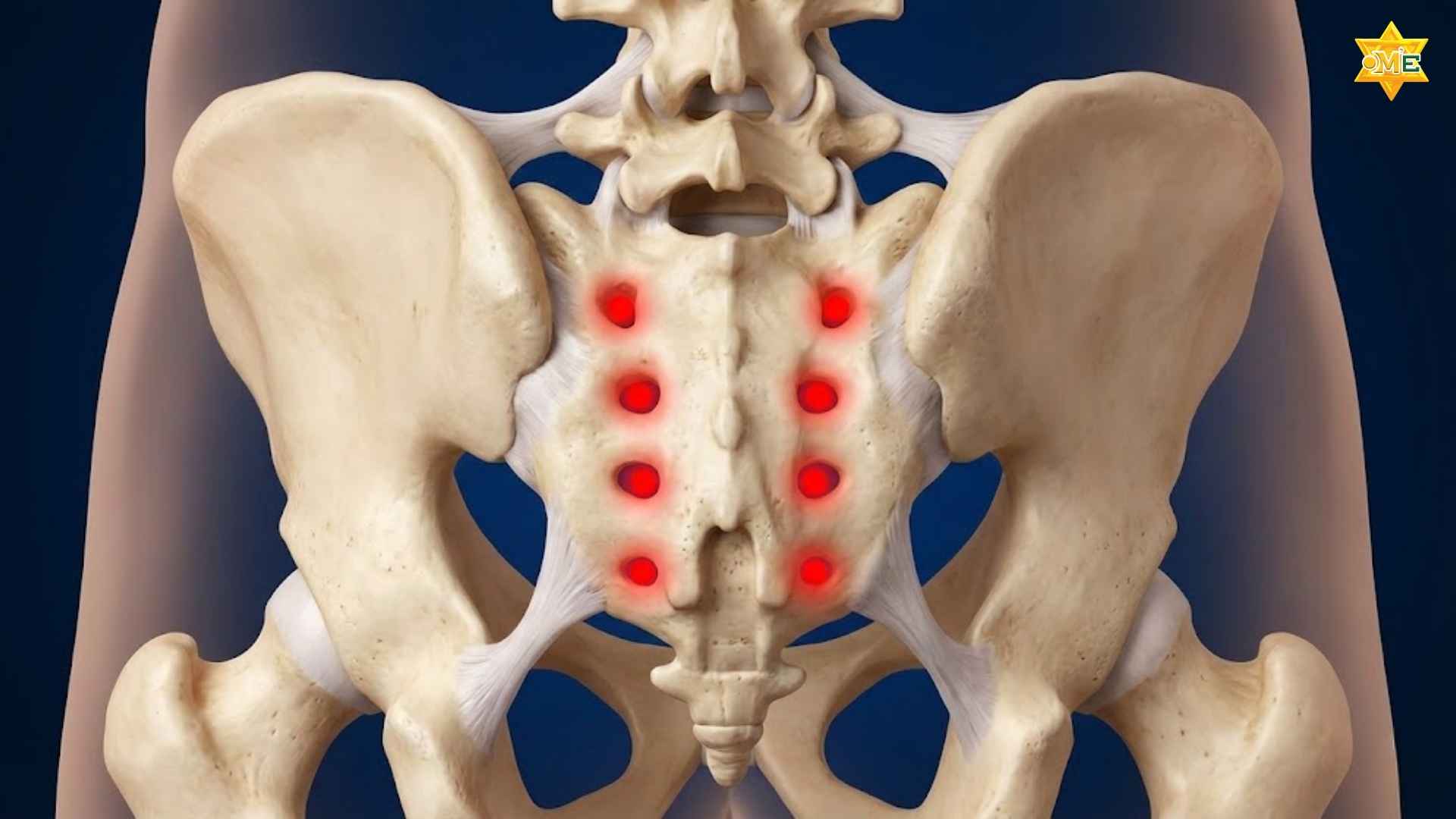 Cách xác định huyệt Bát Liêu chuẩn xác 