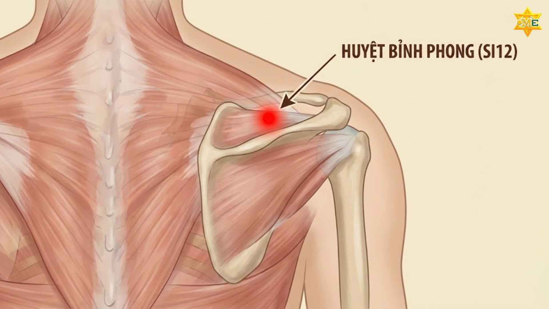 Cách xác định huyệt Bỉnh Phong và kỹ thuật bấm huyệt an toàn