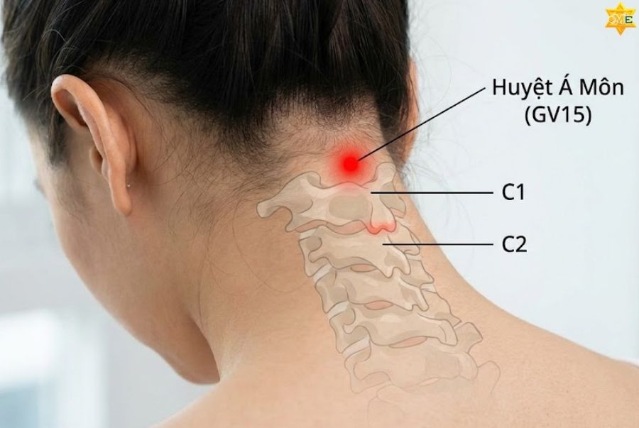 Huyệt Á Môn nằm ở đâu?