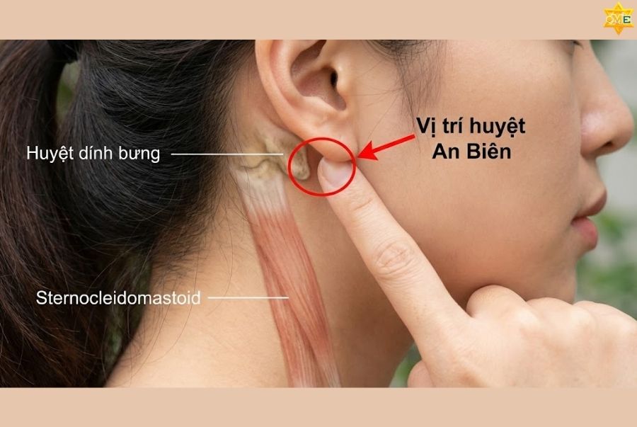 công dụng của huyệt An Biên