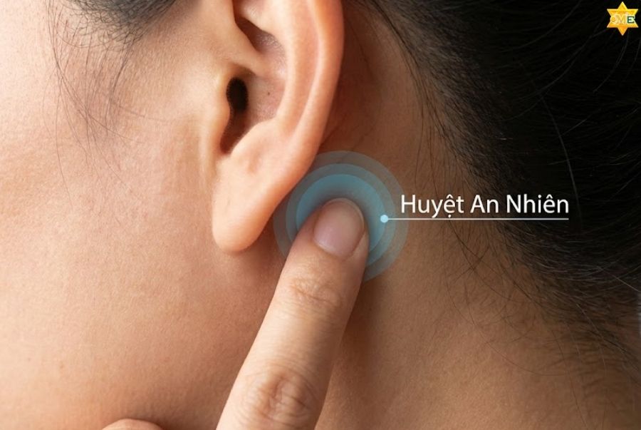 Hướng dẫn cách bấm huyệt An Nhiên chuẩn kỹ thuật