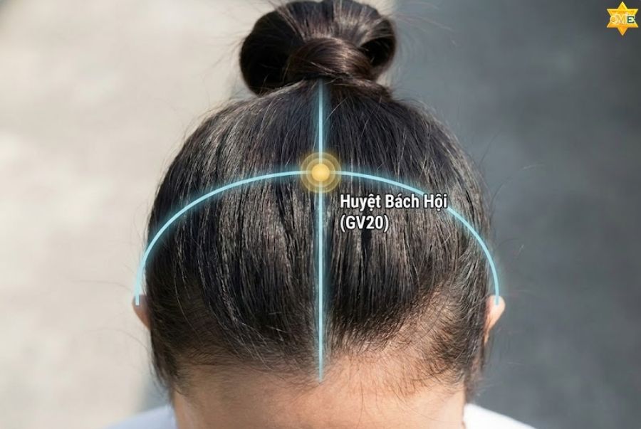 Công dụng của huyệt Bách Hội