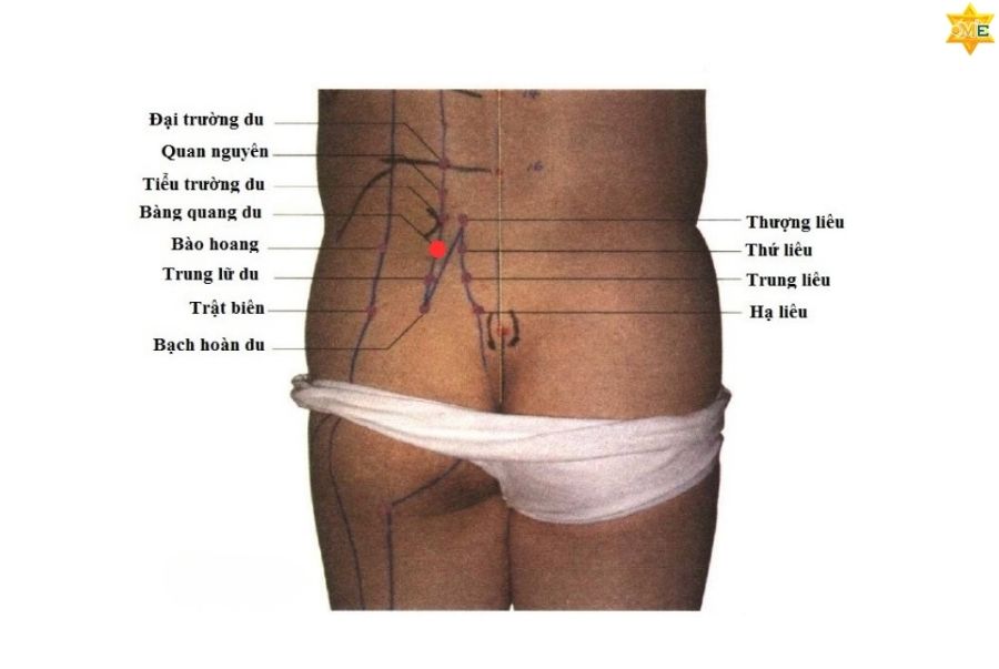 Vị trí huyệt Bàng Quang Du ở đâu?