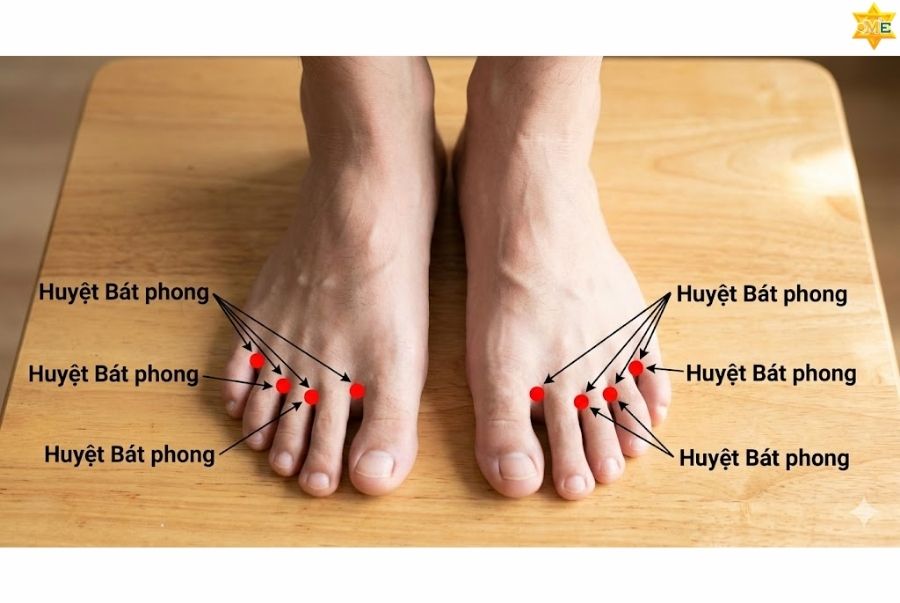 Công dụng của huyệt Bát phong: Cách bấm huyệt trị liệu tại nhà