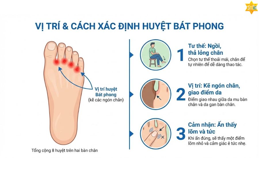 Công dụng của huyệt Bát phong theo Đông y