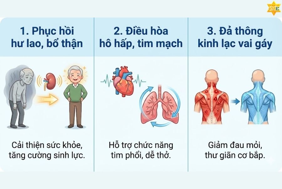 Công dụng của huyệt Cao Hoang trong trị liệu