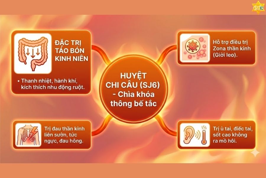 Công dụng của huyệt Chi Câu trong trị liệu