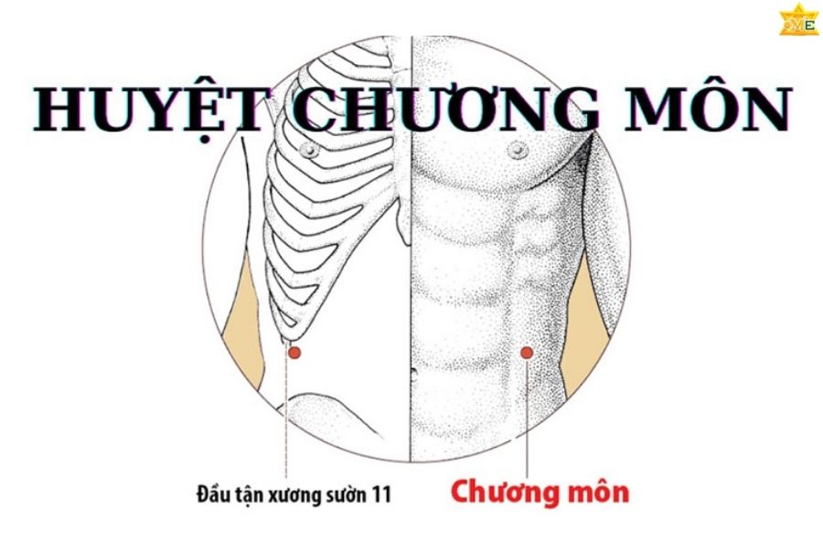 Công dụng của huyệt Chương Môn trị bệnh tiêu hóa hiệu quả