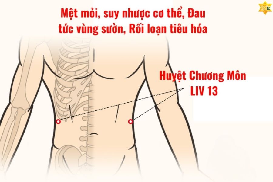 Tổng quan về huyệt Chương Môn