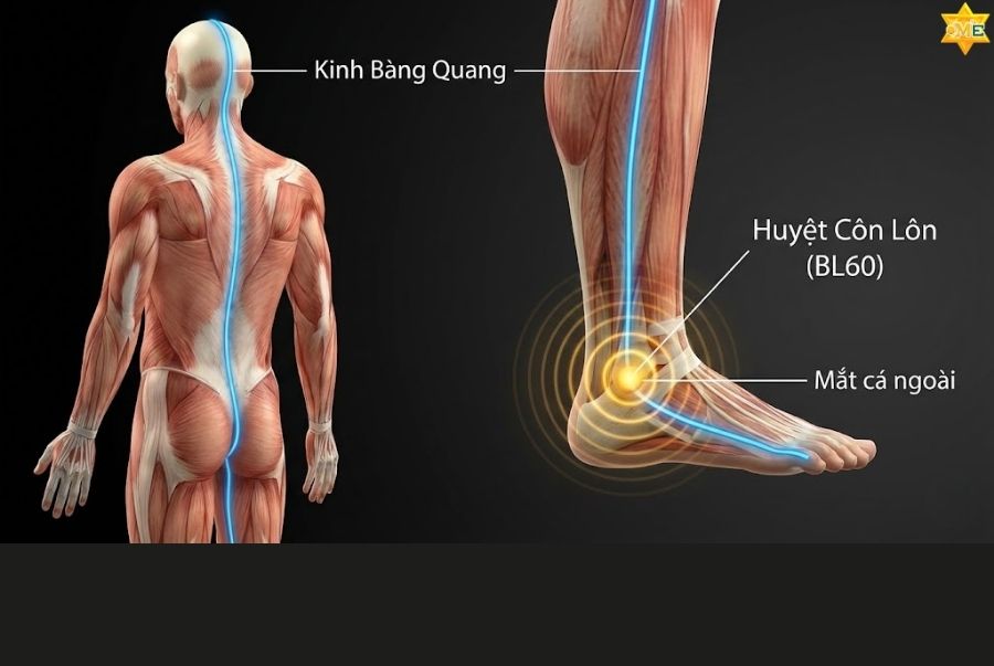 Vị trí huyệt Côn Lôn nằm ở đâu?